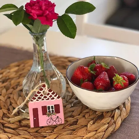 Tiny House Mit Saunafass Und Garten Apartment Brensbach