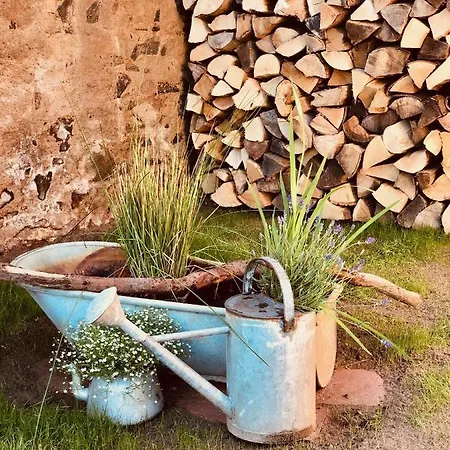 Tiny House Mit Saunafass Und Garten Appartement *