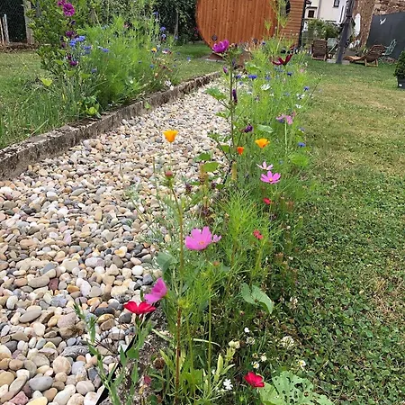 Tiny House Mit Saunafass Und Garten *