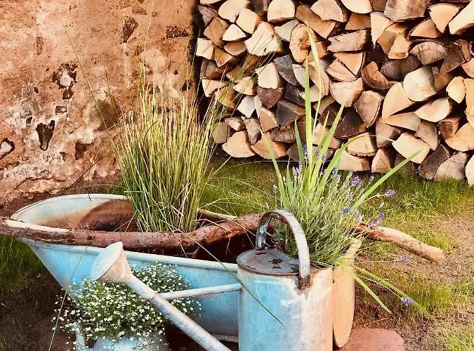 Tiny House Mit Saunafass Und Garten アパート *