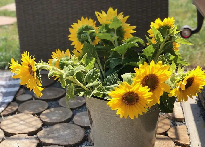 Tiny House Mit Saunafass Und Garten アパート