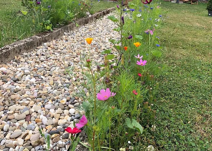 Tiny House Mit Saunafass Und Garten *